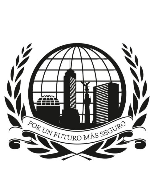 Manual de Seguridad