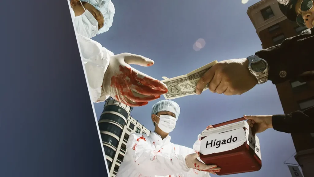 Newsletter - Extracción y tráfico de órganos