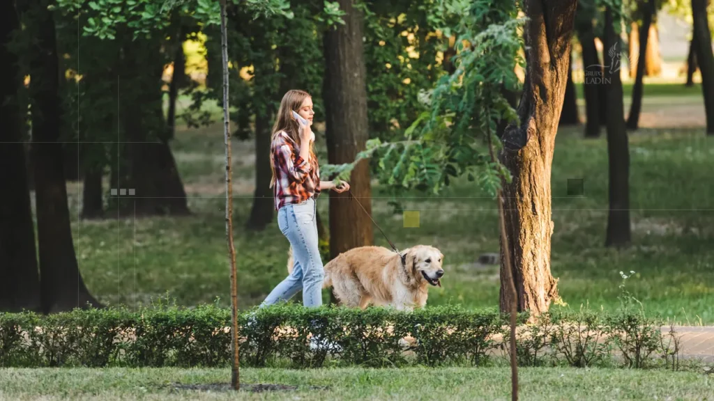 Newsletter - Seguridad para tu perro