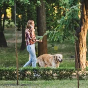 Newsletter - Seguridad para tu perro