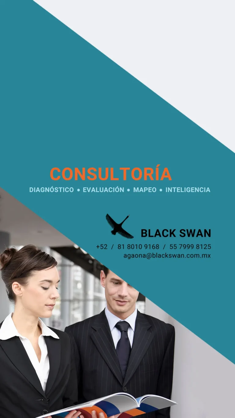 im gd blackswan 2 consultoria 768x1365