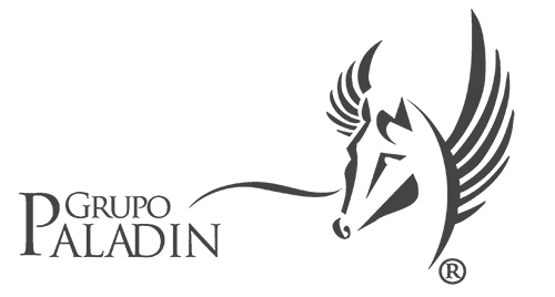 Grupo PALADIN