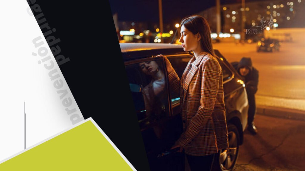 Newsletter - Seguridad en el automóvil