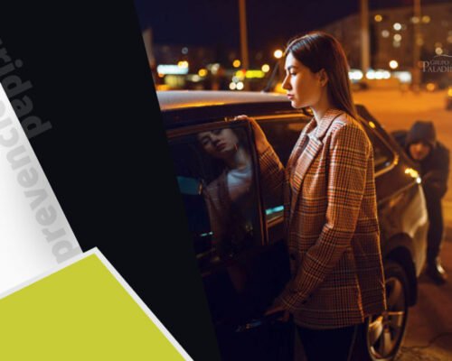 Seguridad en el automóvil