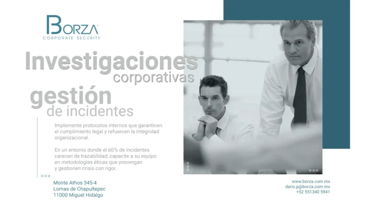 im gd borza 5 investigaciones 768x432