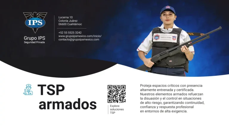 im gd ips 3 tsp armados 768x432