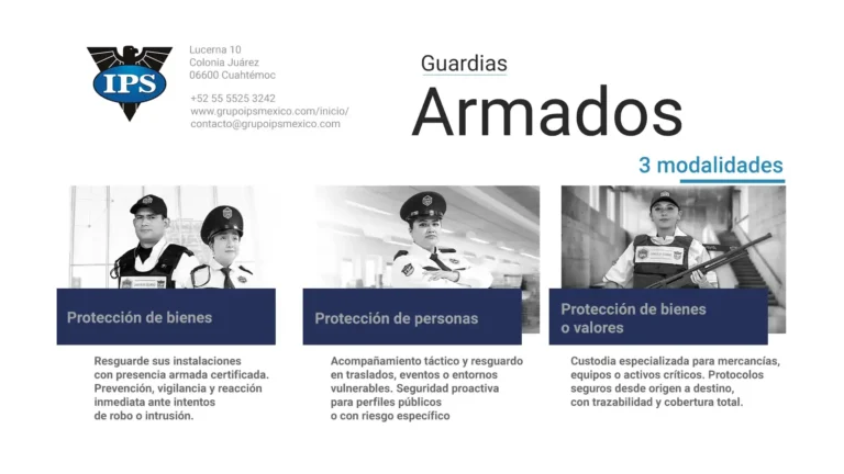 im gd ips 6 armados 768x432