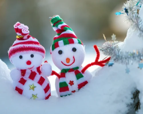 Feliz Navidad, les desea el Equipo de Grupo PALADIN