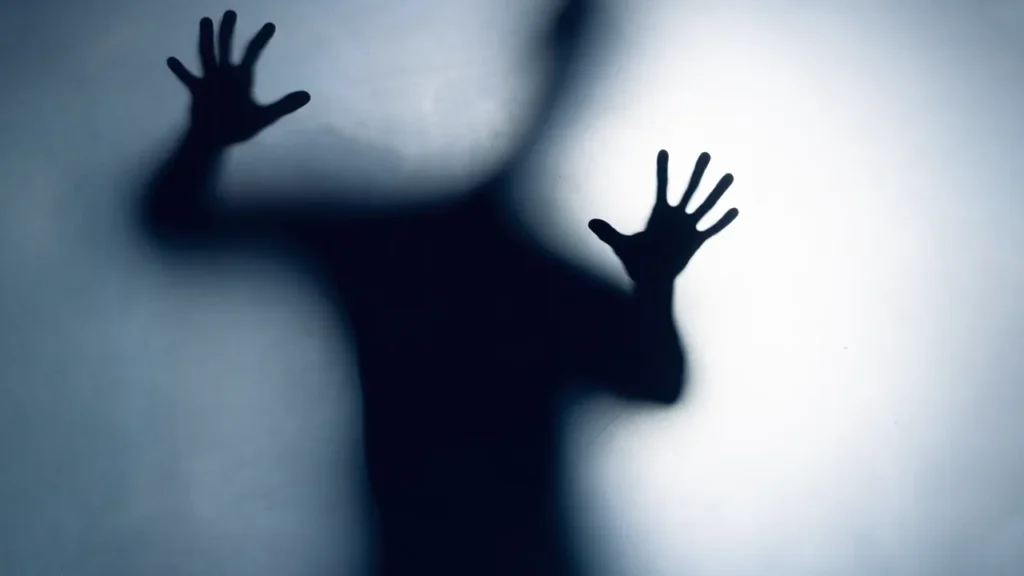 Newsletter - Cinco hábitos de prevención frente a desapariciones