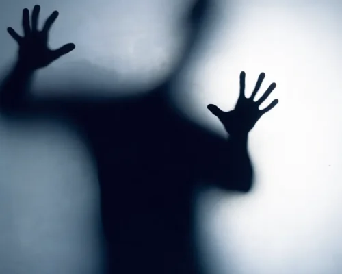 Cinco hábitos de prevención frente a desapariciones