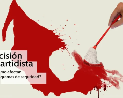 Decisiones políticas y seguridad