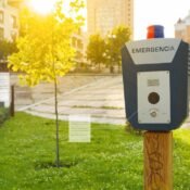 Newsletter - Disuación focalizada