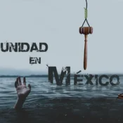 Newsletter - Cómo reducir la impunidad en México