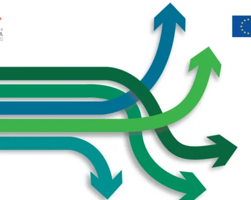 El programa a evaluar