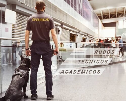 Personas en seguridad: rudos, técnicos y académicos